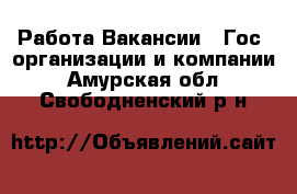 Работа Вакансии - Гос. организации и компании. Амурская обл.,Свободненский р-н